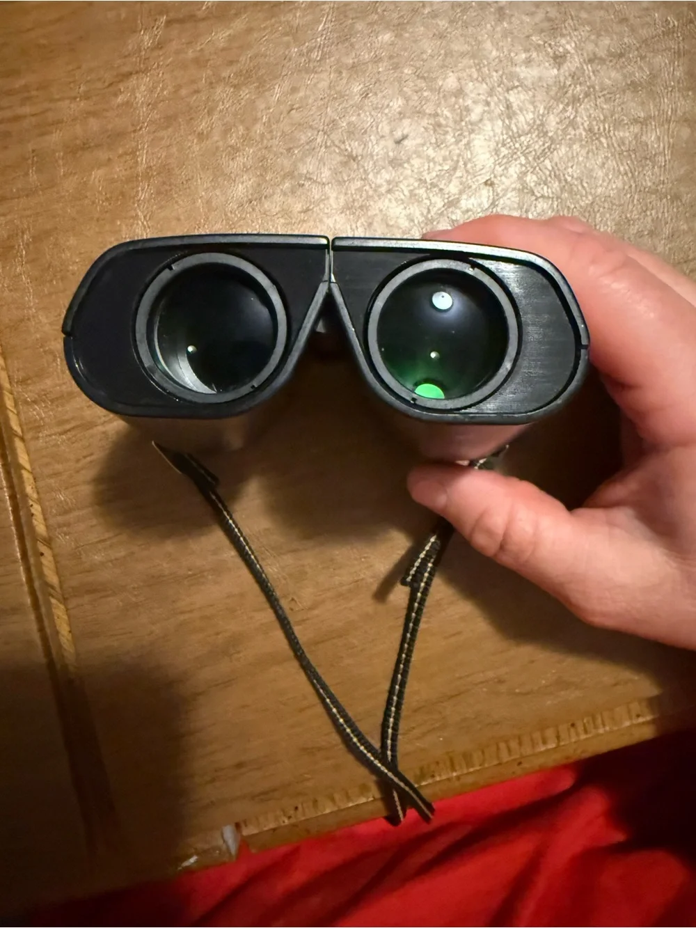 Nikon Black Compact Folding Binoculars with Gold Accents